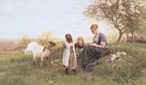 De geiten voeren